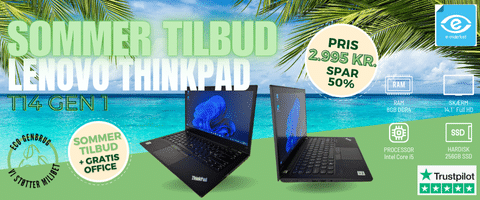 Lenovo ThinkPad T14 Gen 1 Mobilversion gratis office